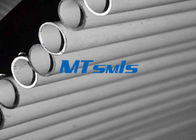 18 Inch ASTM A790 / ASME SA790 Stainless Steel Seamless Tube With Pickled Surface